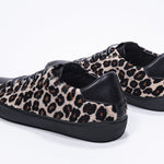 Three quarter back view of low top leopard print sneaker. Full haircalf leather upper and black rubber sole.